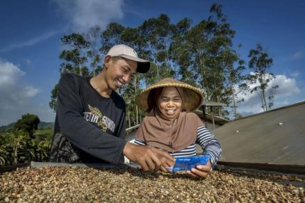 Porsi Kredit UMKM BRI Capai 75,1 Persen, Tembus Rp1.235,4 Triliun