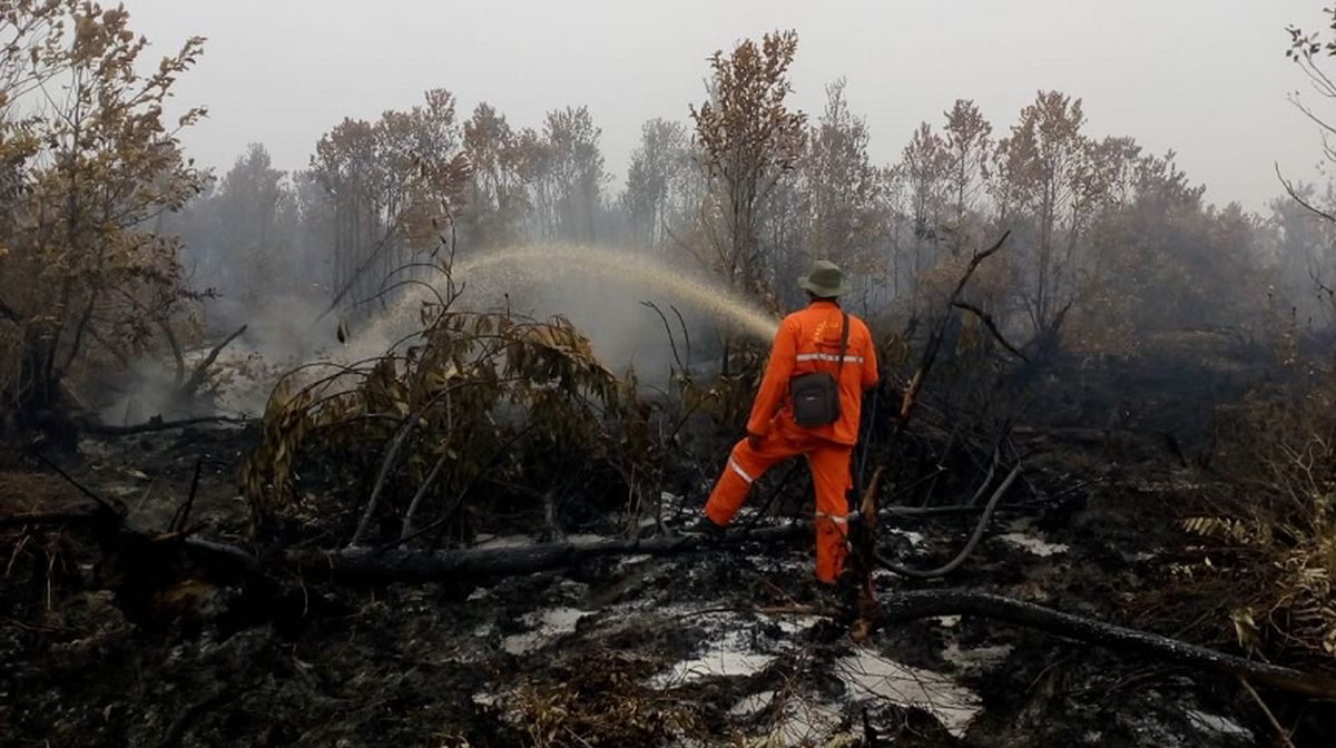 Kapolda Papua Ingatkan Ancaman Kebakaran Hutan hingga November, Gubernur dan Forkopimda Diminta Perkuat Koordinasi