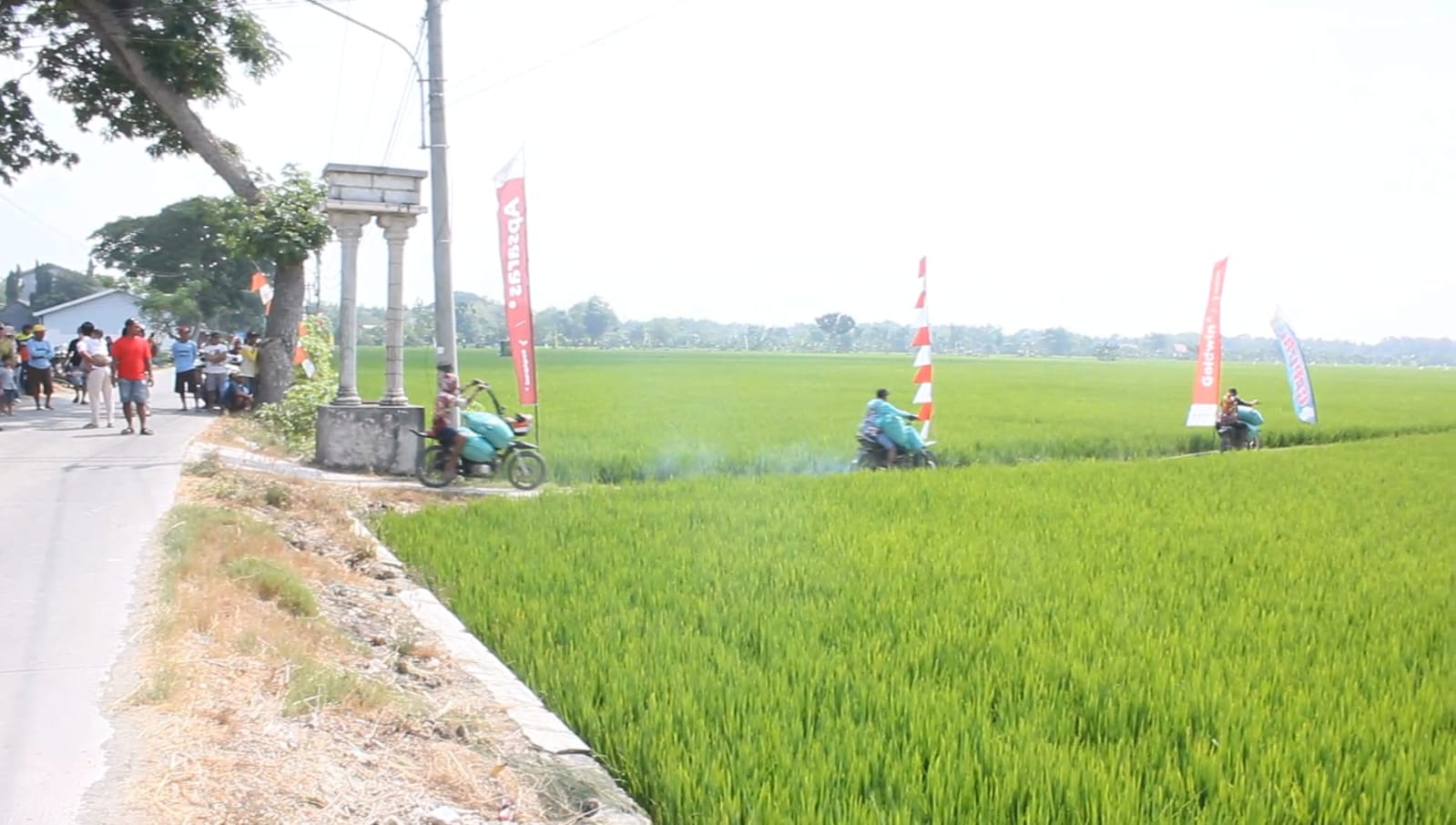 Lomba Balap Ojek Gabah di Blora Lintasi Jalan Setapak 4 Kilometer, 12 Kelompok dari 3 Kabupaten Ikut Serta