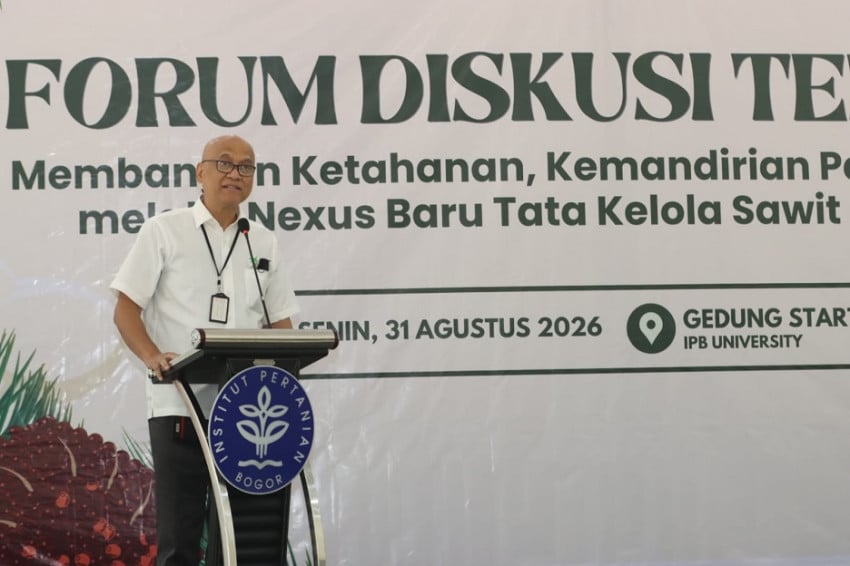 Peremajaan Sawit Jadi Kunci Siapkan 1,5 Juta Ha Lahan untuk Pangan dan Energi