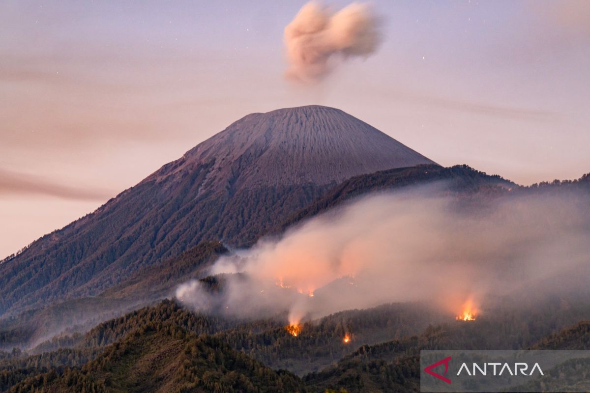 Taman Nasional Kerinci Seblat Ditutup Sementara, Menhut Sebut 9 TN Rawan Karhutla Kena Larangan Pendakian