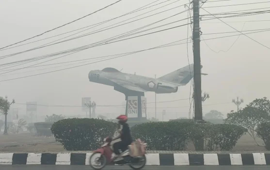 Warga Banjarbaru Keluhkan Kabut Asap Karhutla Kian Pekat, Bau Menyengat dan Tembus Masker