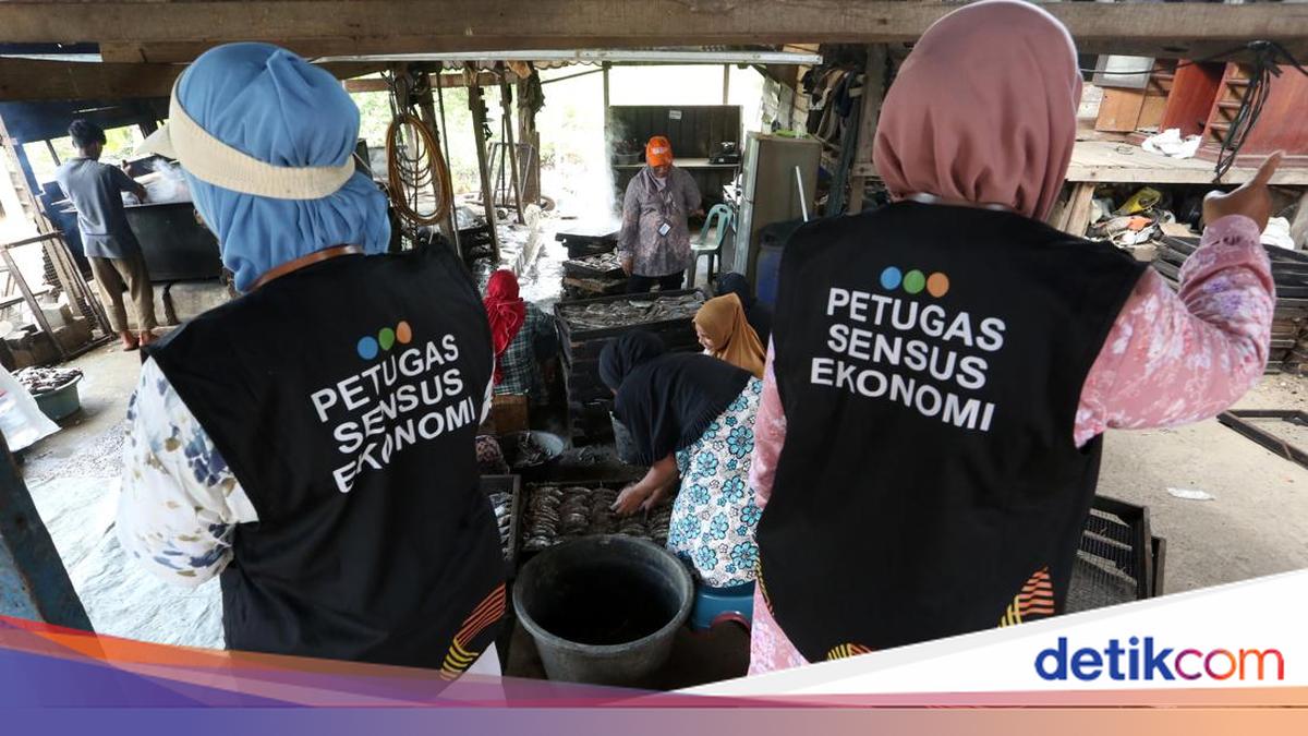 Sensus Ekonomi 2026 Berakhir Agustus, 251.000 Petugas BPS Turun ke Lapangan