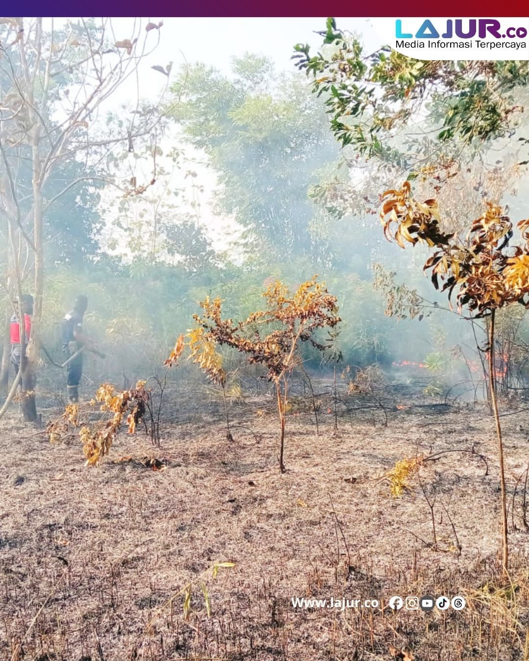 Sulawesi Tenggara Siaga Karhutla: 117 Titik Panas Terdeteksi, 15 Kabupaten Berstatus Sangat Mudah Terbakar