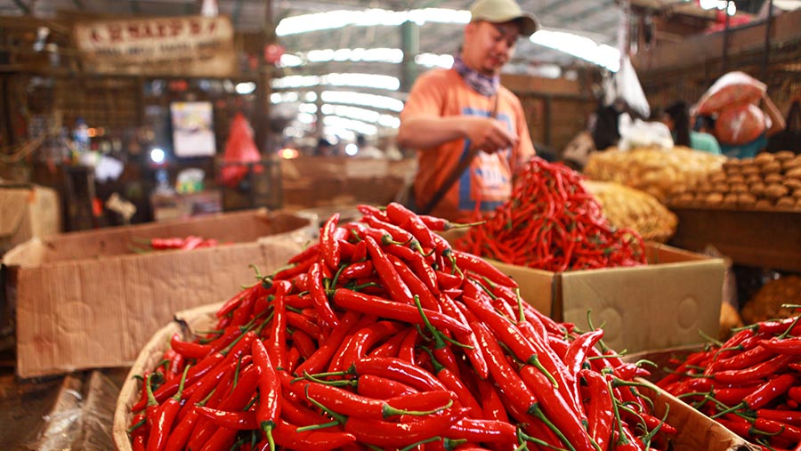 Inflasi Agustus Diperkirakan Tembus 0,2% (mtm), Harga Cabai Merah Naik 7,2%