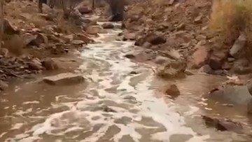 Bukan Tanda Kiamat, Ini Penjelasan Sains Aliran Sungai Muncul di Gurun Madinah