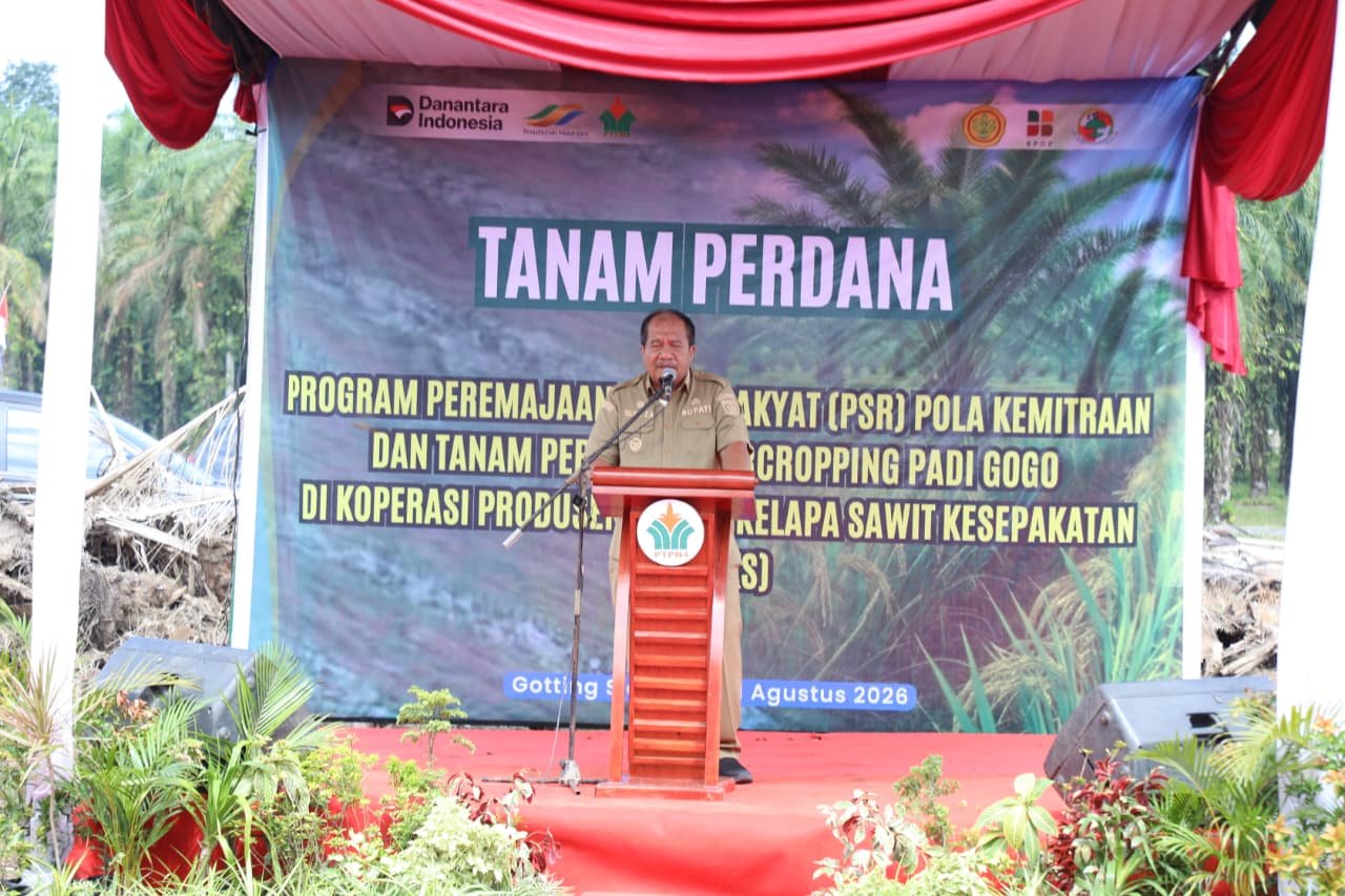 Peremajaan Sawit Rakyat di Asahan Resmi Dimulai, 86 Hektare Lahan Sela Disiapkan untuk Padi Gogo