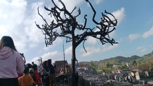 9 Wilayah di NTB Berstatus Awas Kekeringan Meteorologis, Hari Tanpa Hujan Capai 105 Hari di Bima