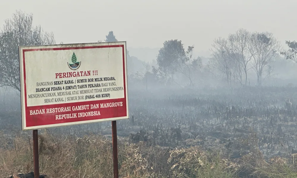 Karhutla di Jambi Capai 2.335,98 Hektare, Perkumpulan Hijau: Ada Krisis Tata Kelola Lahan