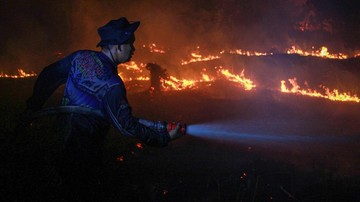 Satgas Padamkan 262 Hektare Karhutla di Kalbar, Udara Jatuhkan 724.000 Liter Air