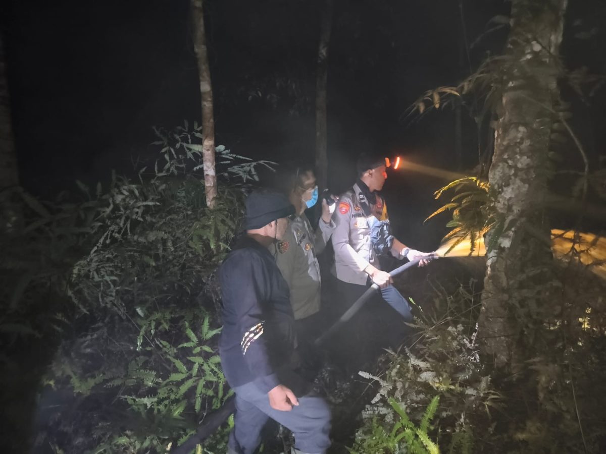 Karhutla di Jelimpo Landak Mendekati Permukiman Warga, 5 Hektare Lahan Terbakar Berhasil Dijinakkan