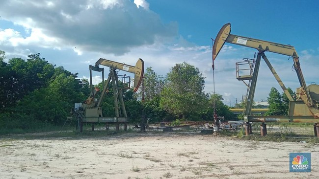 Badan Usaha Khusus Gantikan SKK Migas, Target Rampung Oktober 2026