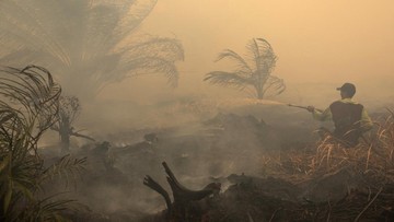 KLH Bidik 19 Perusahaan Pemicu Karhutla, Kerugian Capai Rp 5,3 Triliun