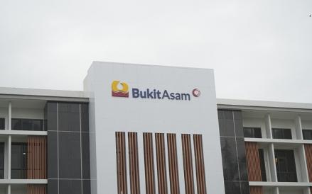 Cetak Laba Melonjak 218%, Ini Pendorong Kinerja Bukit Asam