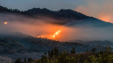 9 Taman Nasional Ditutup Sementara Akibat Karhutla, Jadwal Pendakian Perlu Dicek Ulang