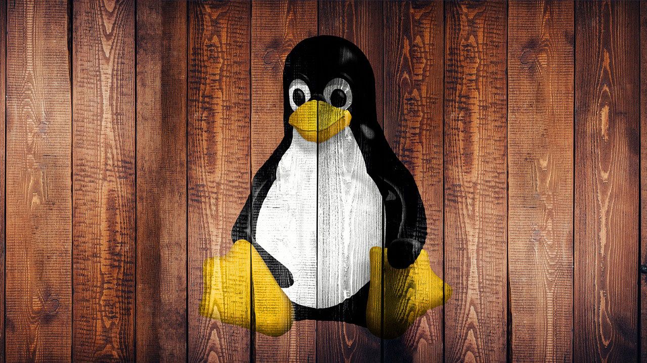 SteamOS Masih Kena Wajib Verifikasi Umur, Linux Justru Lolos di California