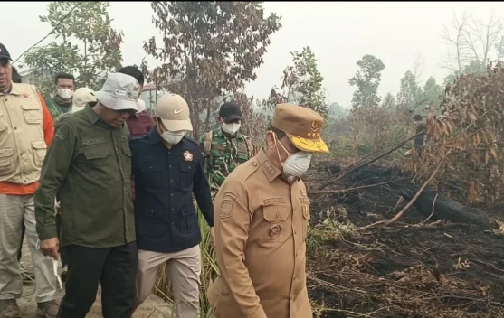 Gubernur Kalbar Tinjau Karhutla di Kubu Raya, Polisi Amankan Dua Tersangka Pembakar Lahan