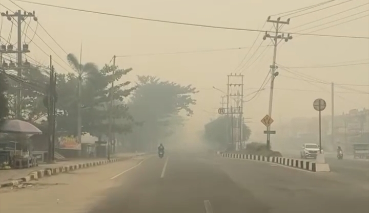Kabut Asap Karhutla Makin Pekat, Jarak Pandang Menyempit Drastis di Wilayah Terdampak