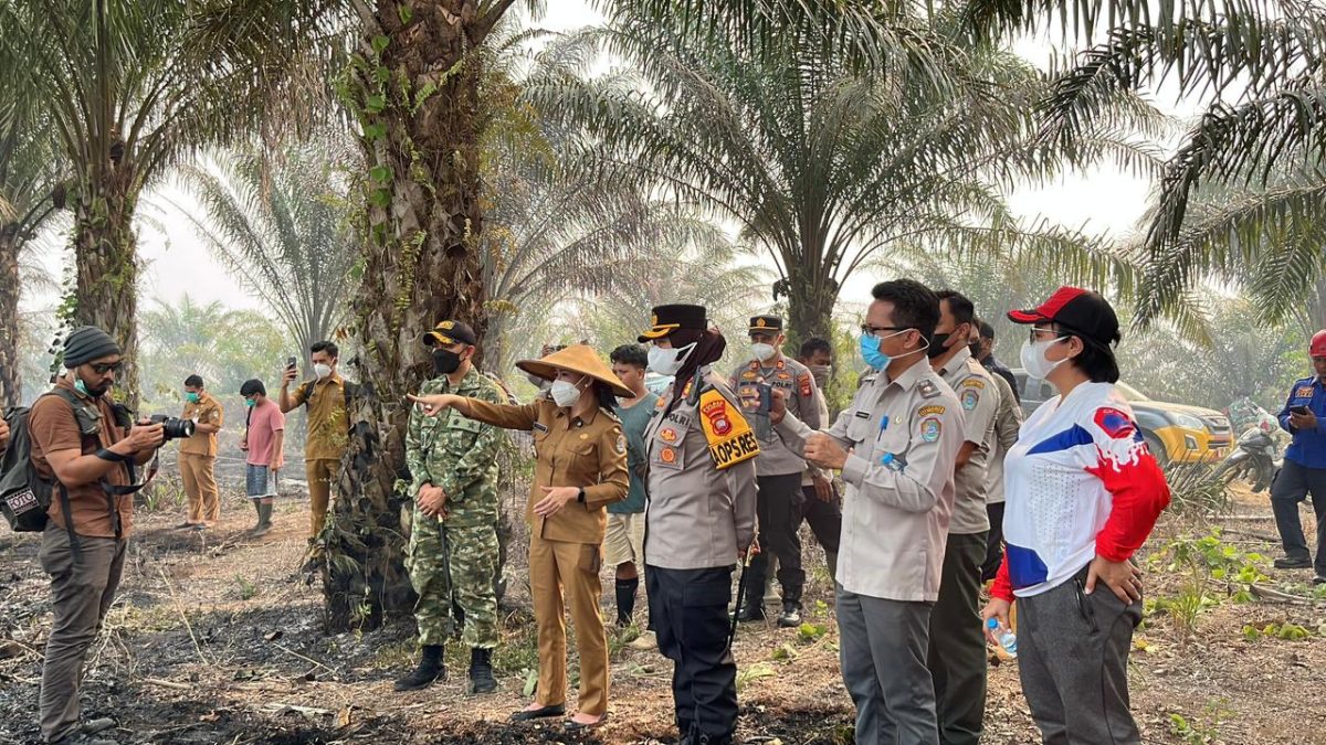 Karhutla di Perbukitan Landak Capai 50 Hektare, Kapolres dan Bupati Terjun Langsung ke Lokasi Dekat Permukiman