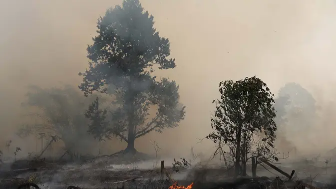 Karhutla Kalsel Mencekam, BNPB Terjunkan Kamera Thermal untuk Padamkan Api