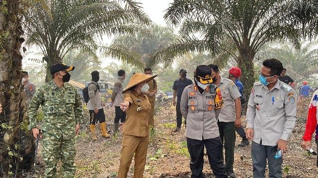 Kebakaran Lahan Hanguskan 50 Hektare Kebun Sawit di Landak, Warga Ikut Padamkan karena Api Dekat Kampung