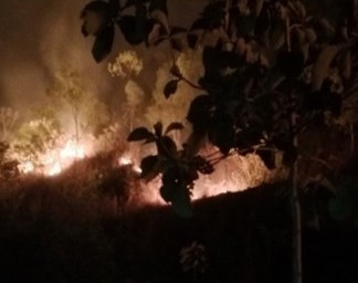 Kebakaran Landa Hutan Jati Sultan Ground di Gunungkidul, 7 Hektare Hangus