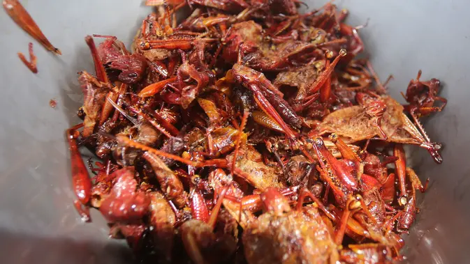 Jelajah Kuliner Ekstrem Thailand yang Ternyata Mirip Masakan Indonesia, Cek Sebelum Traveling