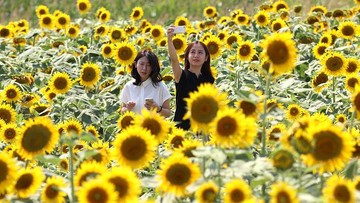 Wisatawan Jepang Paling Sopan Sedunia, AS Terbaik soal Tip dan Belanja