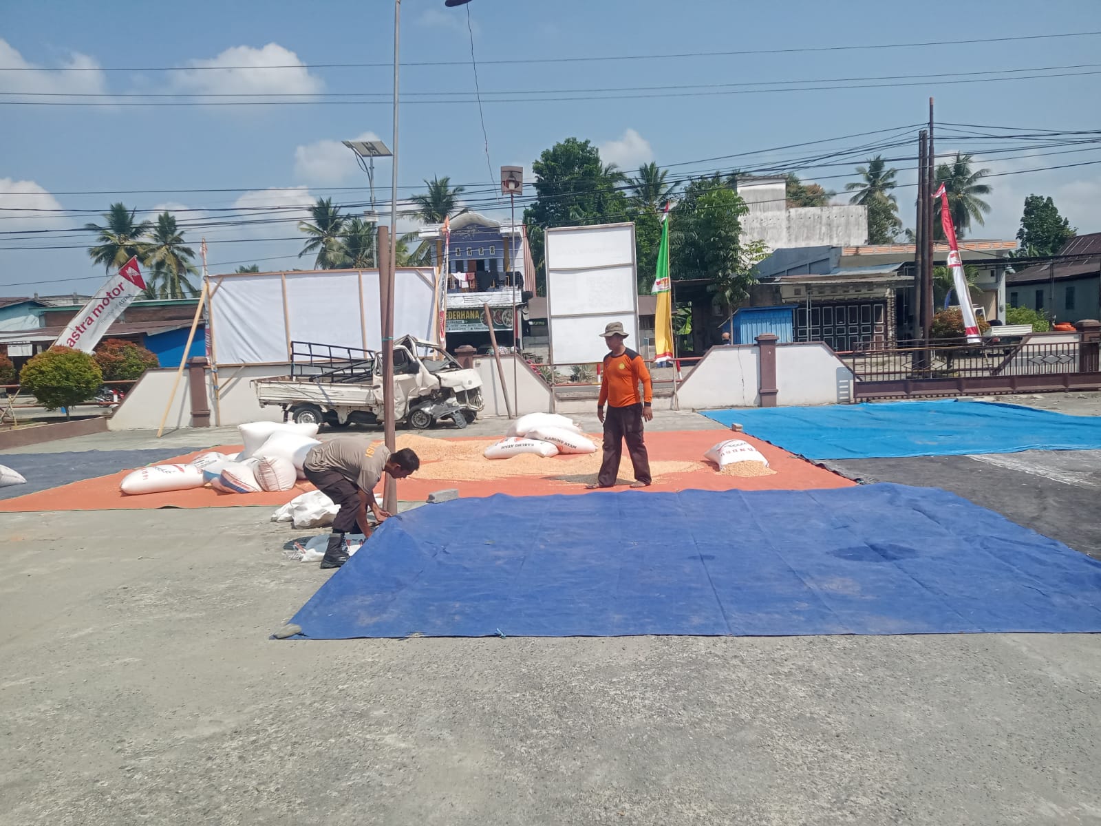 Bhabinkamtibmas Karossa Jemur Jagung Petani untuk Setor ke Bulog Mamuju Tengah Dukung Ketahanan Pangan
