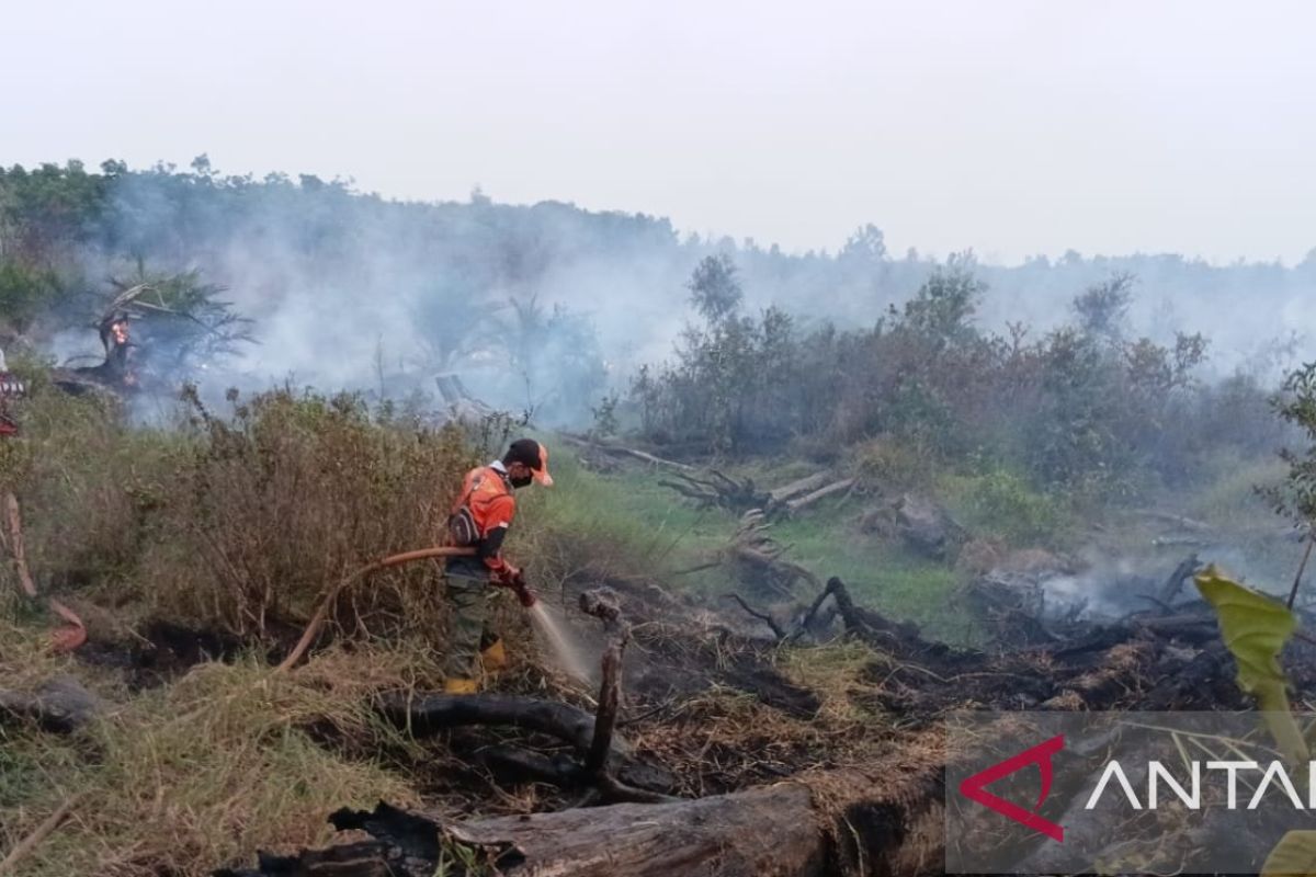 423,5 Hektare Lahan di Muara Enim Terbakar Sepanjang Musim Kemarau, Enam Kecamatan Jadi Zona Merah Karhutla