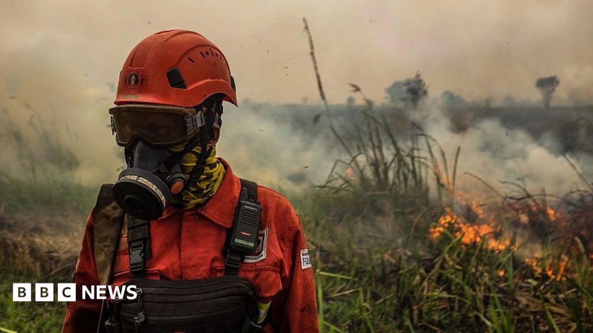 El Nino Capai Puncak September, Menteri LHK: Karhutla Fase Kritis