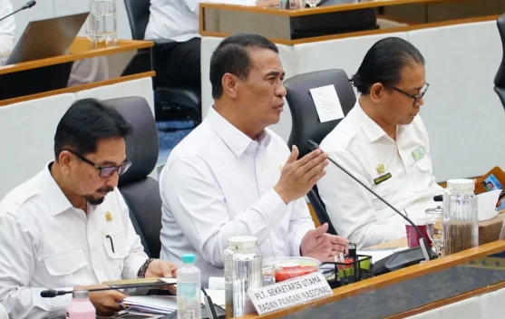 DPR Setujui Tambahan Anggaran Bapanas Rp16,79 Triliun untuk 2027, Bantuan Beras Ditargetkan 735 Ribu Ton