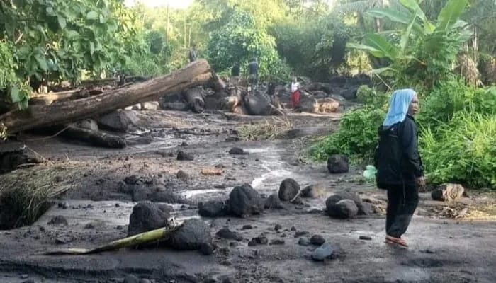 Deretan Pro dan Kontra Pemkab Flotim Belanja Eksavator Rp 5 Miliar Pakai Dana Bantuan Presiden