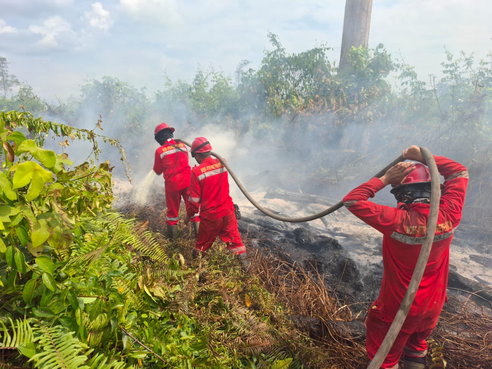 Riau Zero Hotspot, Kemenhut Perkuat Pengendalian Karhutla Hingga ke Pulau Kalimantan