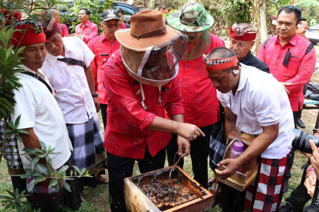 Bungan Desa ke-64 di Tabanan, Bupati Sanjaya Dorong Lalanglinggah Kembangkan Madu Klanceng hingga Wisata Surfing