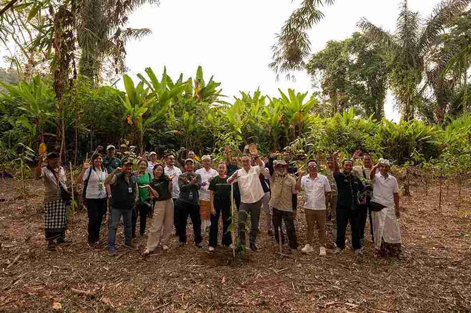 Pemprov Bali Tanam 100 Pohon di Lereng Batukaru untuk Selamatkan Irigasi 7 Desa dan 20 Subak