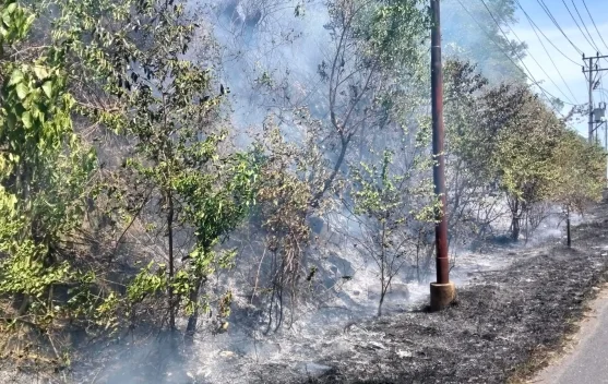 Kebakaran Ilalang di Perbukitan Deah Mamplam Padam, Dua Hektare Ludes Terbakar