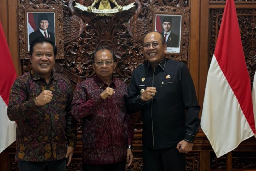 Diserahkan ke PLN Bali, Nasib PLTS Mangkrak di Bangli dan Karangasem Kini Ada di Tangan Negara
