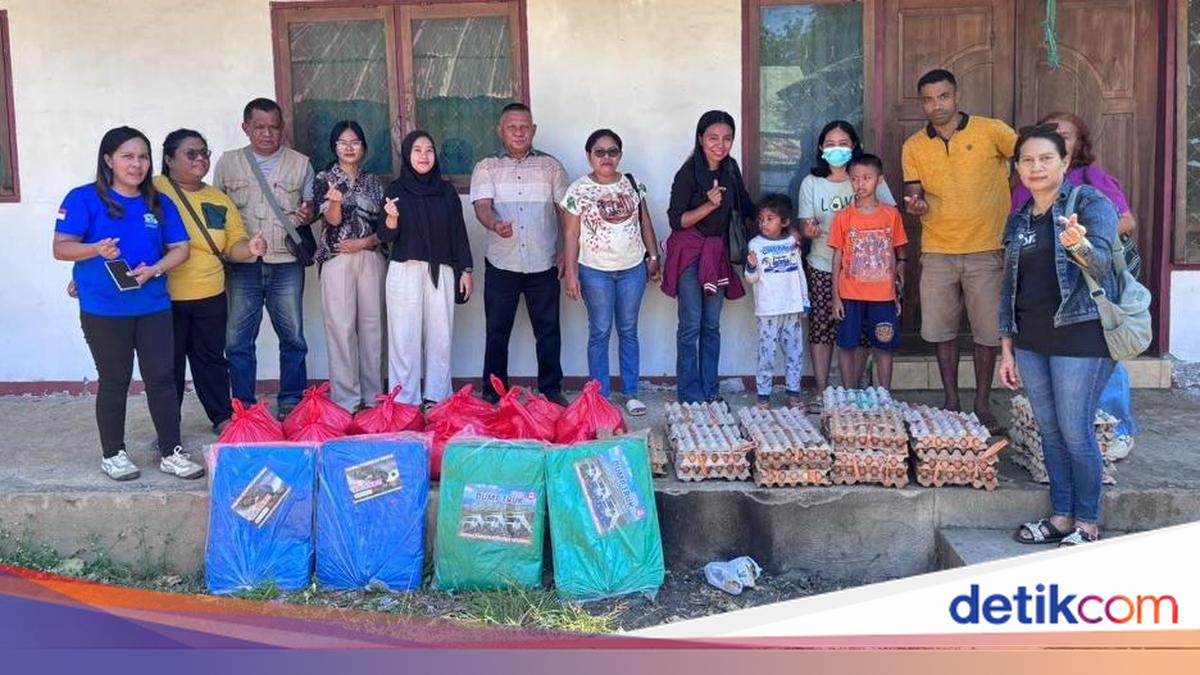 Gempa di Flores NTT: BKKBN Turunkan Penyuluh KB Dampingi Ibu Hamil hingga Balita