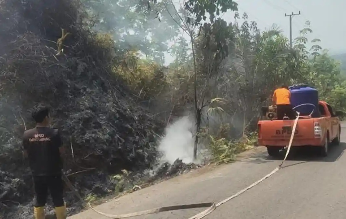 Kebakaran Lahan Hanguskan 2 Hektare di Jalan Poros Tebing Tinggi Empat Lawang, Petugas BPBD Berjibaku Padamkan Api