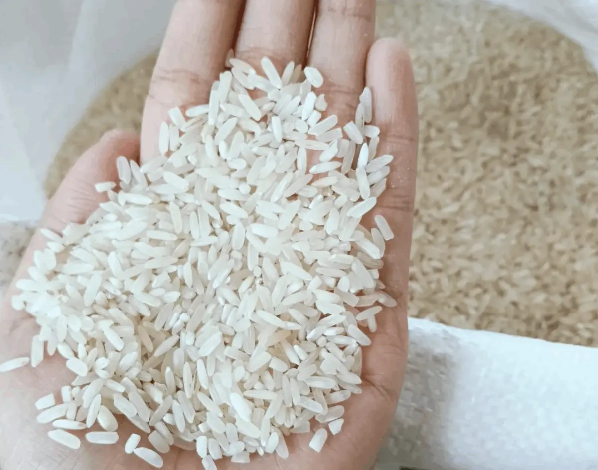 Bulog Ciamis Salurkan 603 Ton Beras Bantuan Pangan untuk 20.103 KPM di Kota Banjar, Cek Kualitas di Gudang Linggajaya