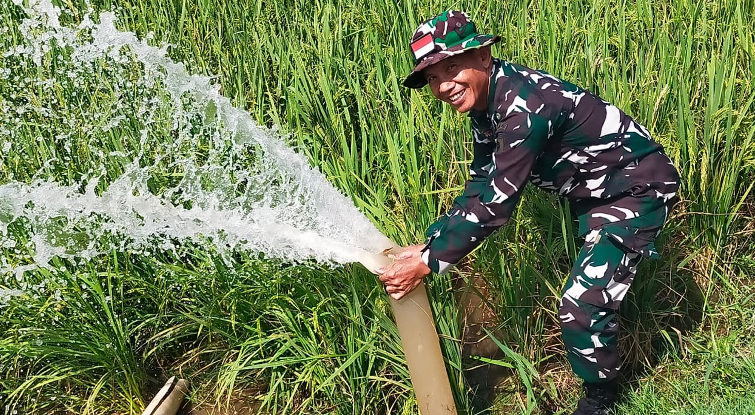 Petani Luwu Alami Kekeringan, Babinsa Gali Sumur 15 Meter untuk Selamatkan 39,8 Hektare Sawah dari Gagal Panen