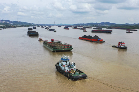 Harga Batu Bara dan Nikel Naik, Sawit serta Timah Turun