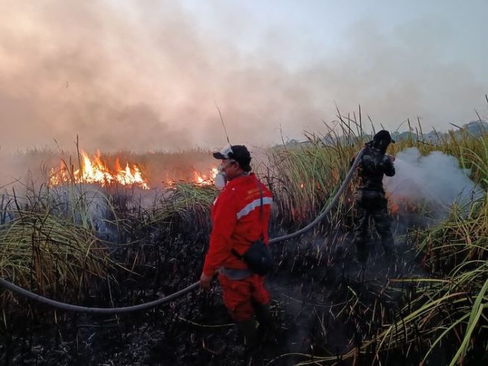 5.004 Anggota MPA Disiagakan di 10 Kabupaten Kota Kaltim, Garda Terdepan Lawan Karhutla dan Api di Tahura Bukit Soeharto