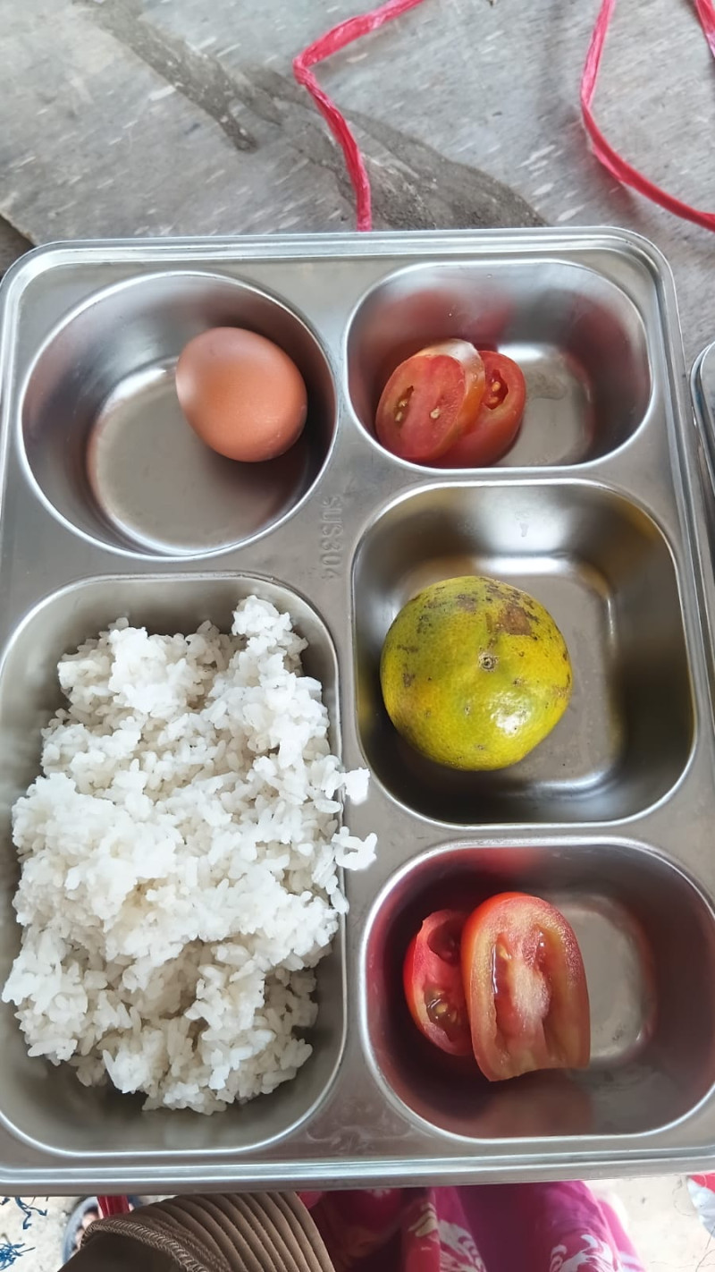 Orangtua di Padang Lawas Utara Keluhkan Menu MBG Hanya Nasi, Telur, dan Tomat