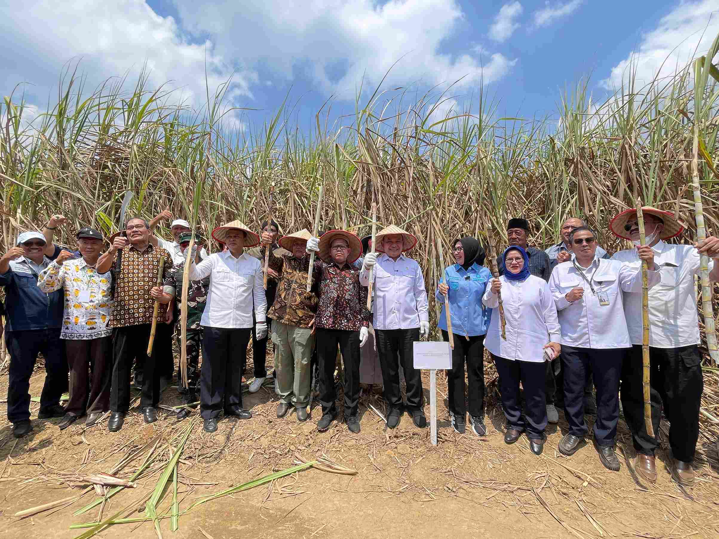 Panen Tebu Register 44 Way Kanan Akhirnya Bergulir, Ratusan Petani Kembali Bisa Panen Setelah Sempat Tertunda