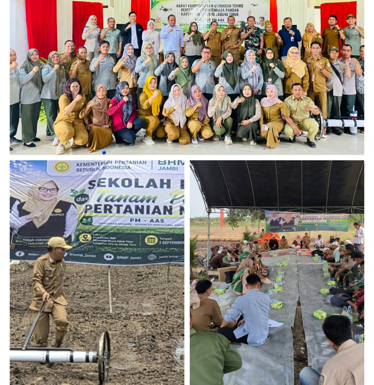 Produksi Padi Tanjabtim Ditargetkan Tembus 8 Ton per Hektare lewat Program Pertanian Modern