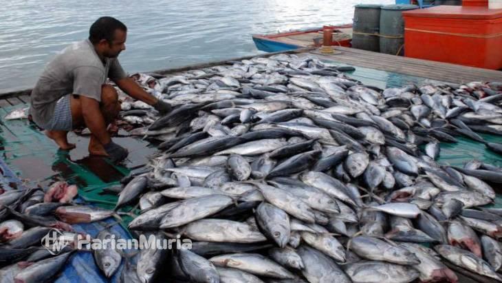 Biaya Logistik Ditekan, Pemeriksaan Ikan Impor Bakal Dialihkan ke Negara Asal