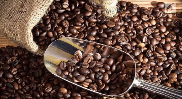 Pemprov Sumsel Angkat Kopi Semendo Jadi Ikon Promosi Wisata, Ini Daya Tarik Muara Enim