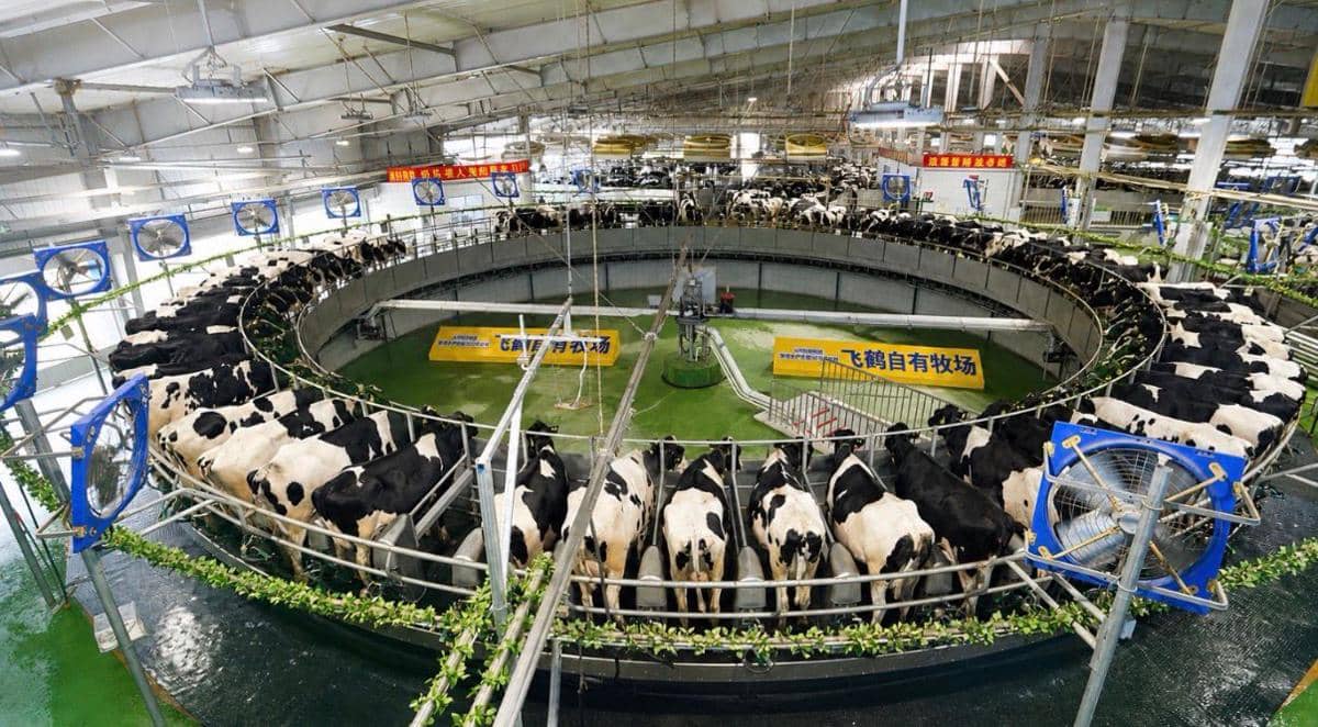 Sebelum Membeli Susu Formula, Cek Dulu Sumber dan Proses Produksinya